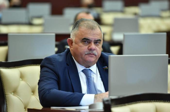 Arzu Nağıyev: “Brüssel görüşü Azərbaycanın maraqlarına tam cavab verir”
