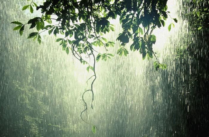 Yağış yağacaq, dolu düşəcək, bəzi çaylardan sel keçəcək — XƏBƏRDARLIQ