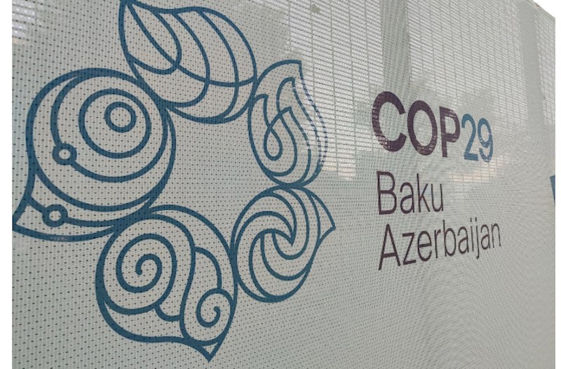 COP29 iştirakçılarının neçə nəfəri media nümayəndəsidir? 