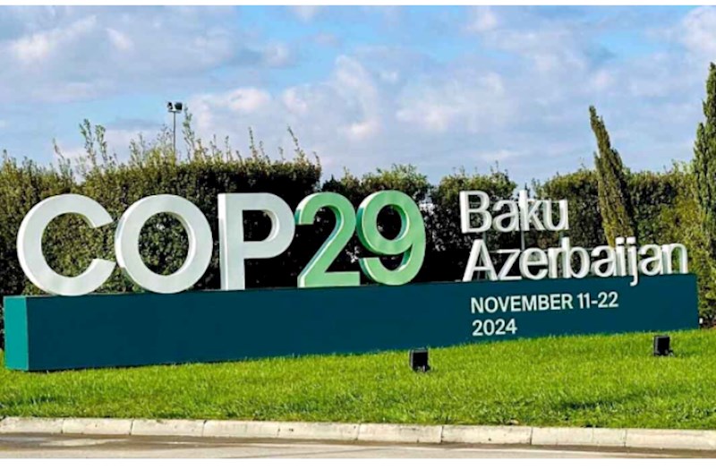 COP29-da altıncı günün proqramı