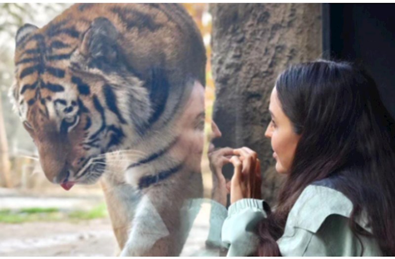 Leyla Əliyeva Bakı zooparkından paylaşım etdi — FOTOLAR