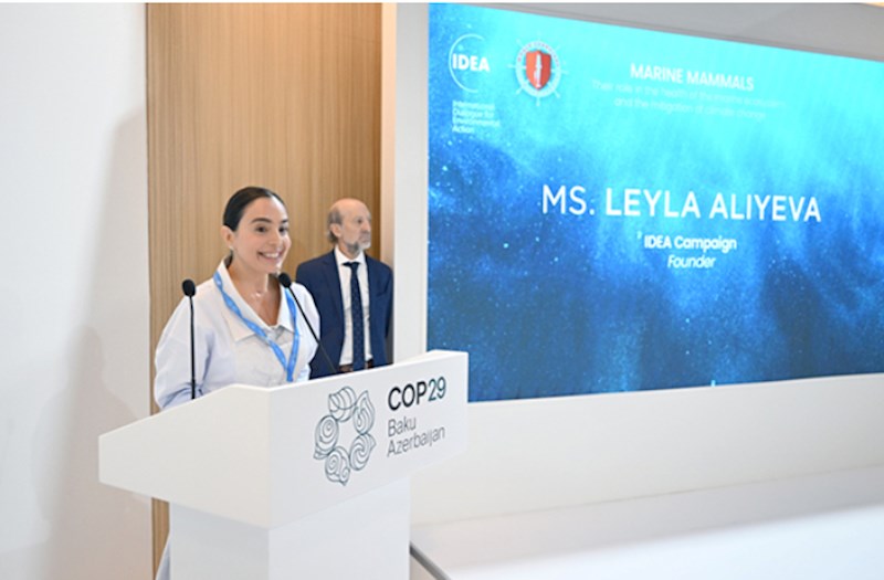 Leyla Əliyeva COP29 çərçivəsində müzakirələrdə iştirak etdi — FOTOLAR