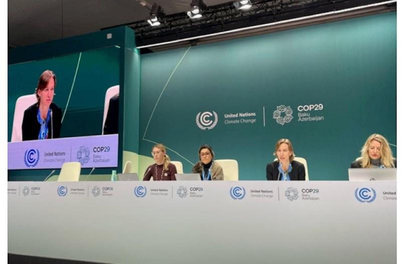 COP29 platformasında mətbuat konfransları keçirilib