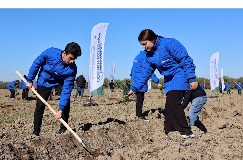 Hacıqabulda Tuqay meşəsinin bərpası aksiyası keçirilib — FOTOLAR