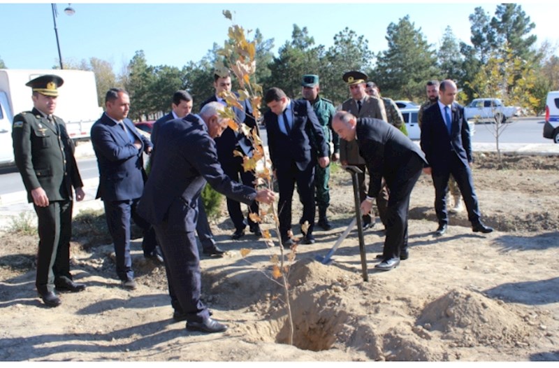 Ordubadda növbəti ağacəkmə aksiyası — FOTOLAR