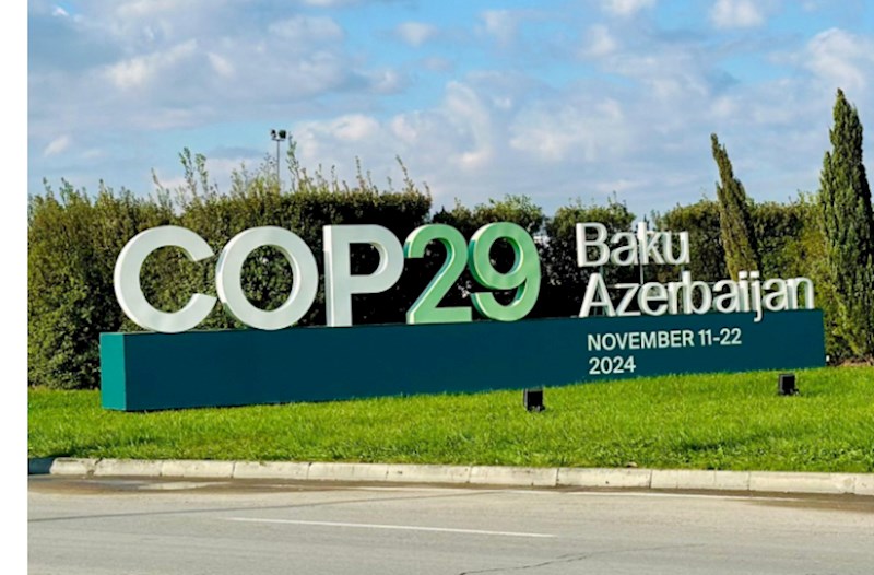 COP29-a qarşı kampaniya aparan kimlərdir? — Anti-Azərbaycan şəbəkəsinin ifşası