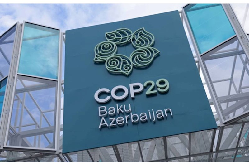 COP29 ərəfəsində Azərbaycana qarşı təbliğat aparacaq veb-səhifələr yaradılıb — HESABAT 