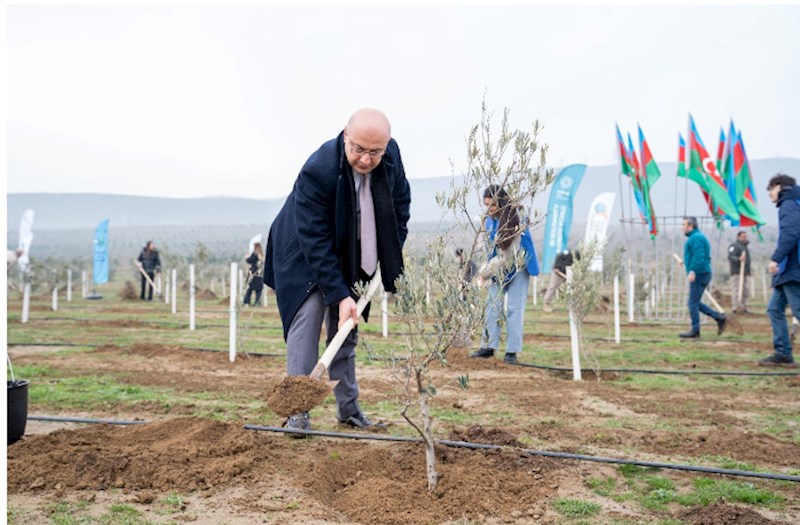 “Yaşıl dünya naminə həmrəylik ili”ndə ağacəkmə aksiyaları davam edir — FOTOLAR