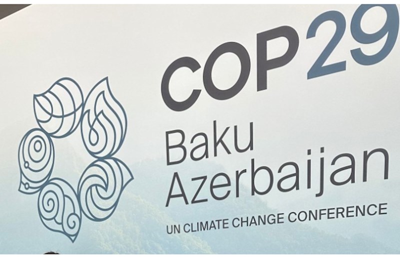 COP29 Fəaliyyət Gündəliyi Təşəbbüsləri açıqlanıb 