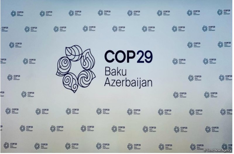 COP 29-un keçirilməsinə ayrılan vəsaitin auditi aparılacaq 