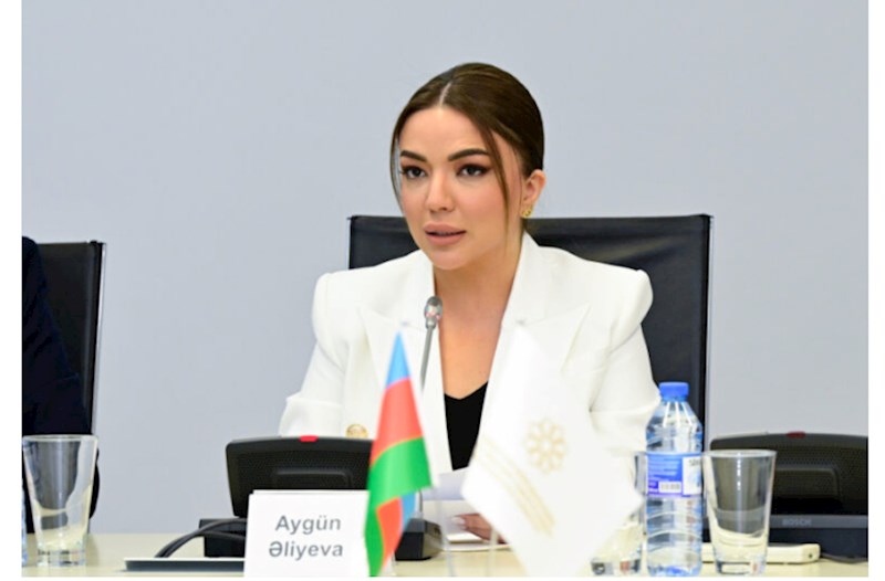 Azərbaycan və Qazaxıstan QHT-ləri arasında gələcək fəaliyyət perspektivləri ilə bağlı müzakirələr aparılıb