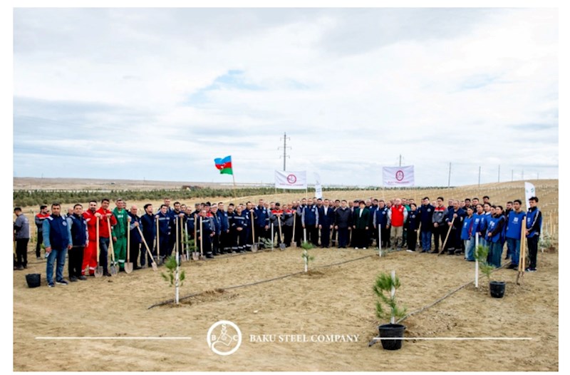 "Baku Steel Company" ətraf mühitin mühafizəsinə töhfəsini gücləndirir: təxminən 3 000 ağac əkilib — FOTOLAR
