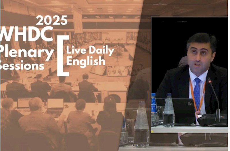 Abbas Abbasov: Belçikanın Afrikada törətdiyi vəhşiliklər insan əzabının ən dəhşətli nümunələrindən biridir