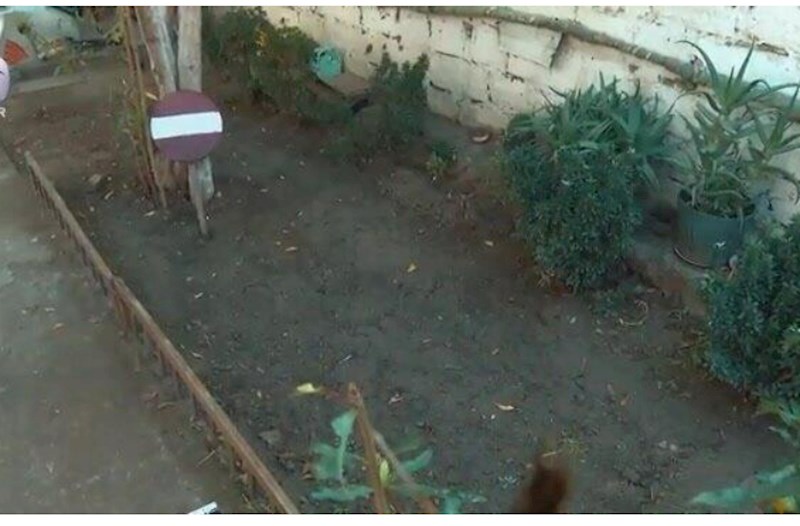 Ərini basdırdığı yerə “giriş qadağandır” nişanı qoydu — VİDEO 
