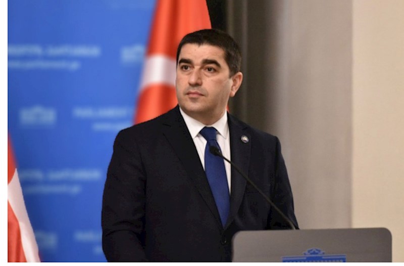 Papuaşvili: Gürcüstan cəmiyyəti Aİ-dən üzr gözləyir