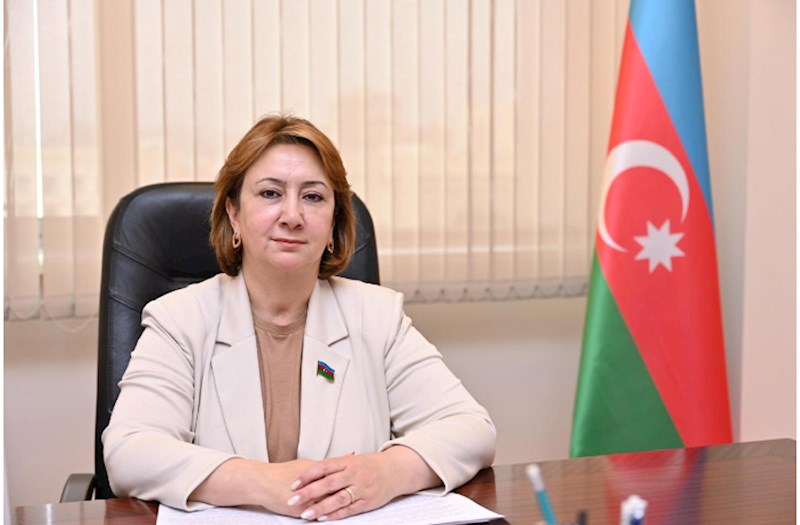 "Potensiallı gənclər qəbuldan kənarda qala bilərlər" — Deputatdan AÇIQLAMA