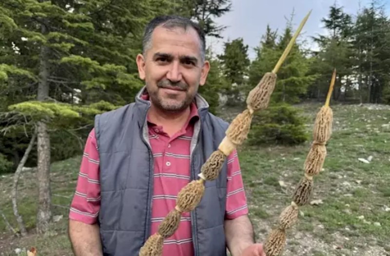 Kilosu 40 manata satılır — Bütün kənd bura axın edir