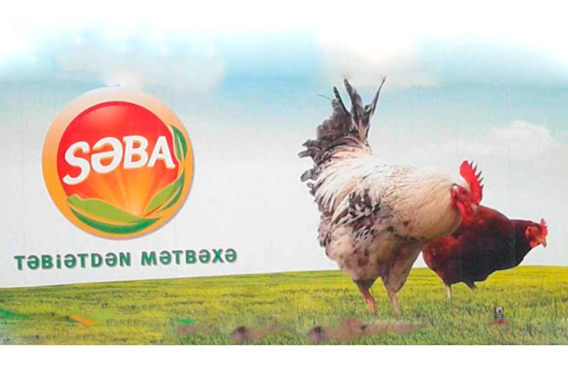 “Səba” külli miqdarda borc içində — Rəhbəri dəyişdi 