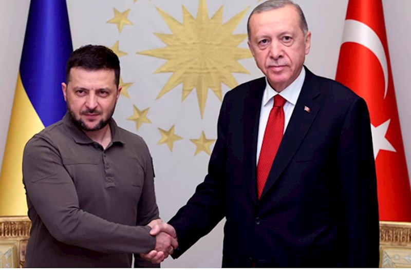 Ərdoğanla Zelenskinin görüşü başladı