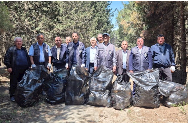 Məhv edilmiş yaşıllıq sahəsi bərpa olundu — FOTOLAR