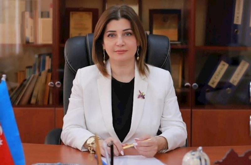 Məktəb direktoru yazır: Gəncləri cinayətkar davranışlardan necə qoruyaq?