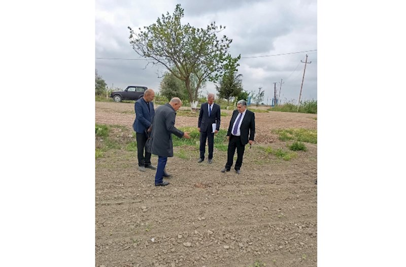 İcra Başçısı pambıq əkini sahələrinə baxış keçirdi — FOTOLAR