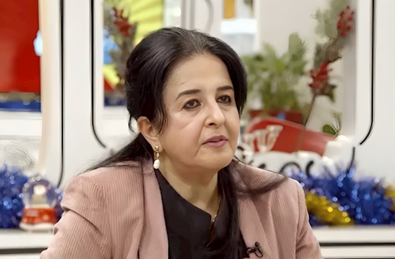 “Türk sözlərindən istifadə edirlər, amma nəzərə almırlar ki...” — Dilçi alim TƏNQİD ETDİ
