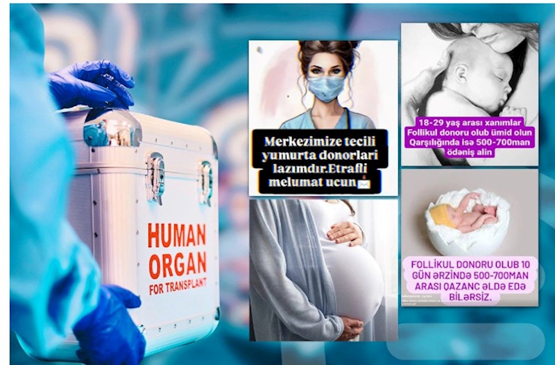 700 manat qarşılığında donorluq təklifi: "Qadınlar həyatlarını riskə atırlar"