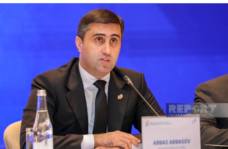 BMT-nin Afrika əsilli Şəxslərin Daimi Forumunun rəsmi internet səhifəsində BTQ icraçı direktorunun çıxışı yerləşdirilib — FOTOLAR