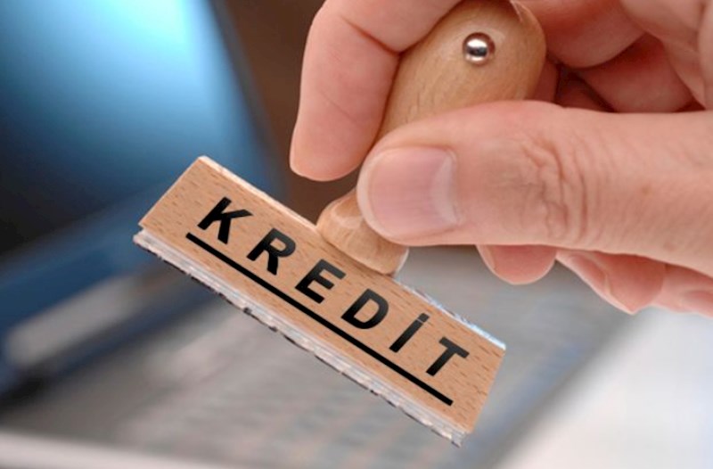 Xarici valyuta ilə kreditləri kimlər götürür? 