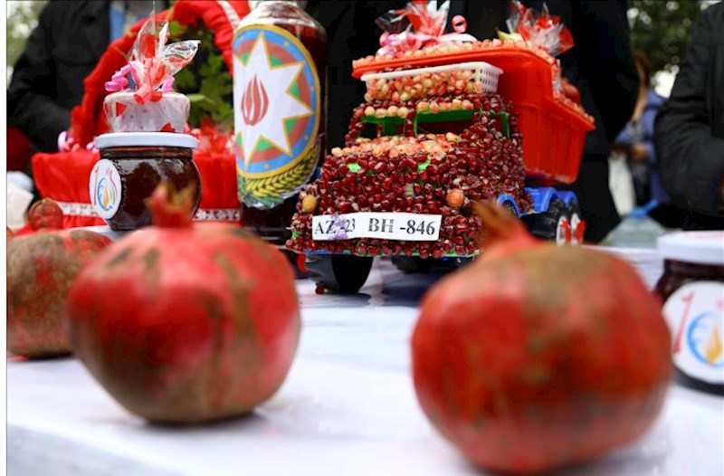 Məhsul festivalları formal olmamalıdır — Natiq Cəfərli
