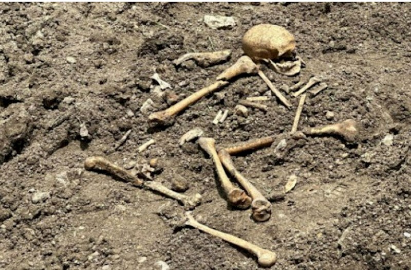 Qubadlıda sümük qalıqları aşkarlandı 