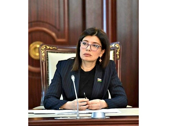 Günay Əfəndiyeva: Əgər biz çətinlikləri birlikdə aşırıqsa, deməli, sabahı da birlikdə qurmağa qadirik 