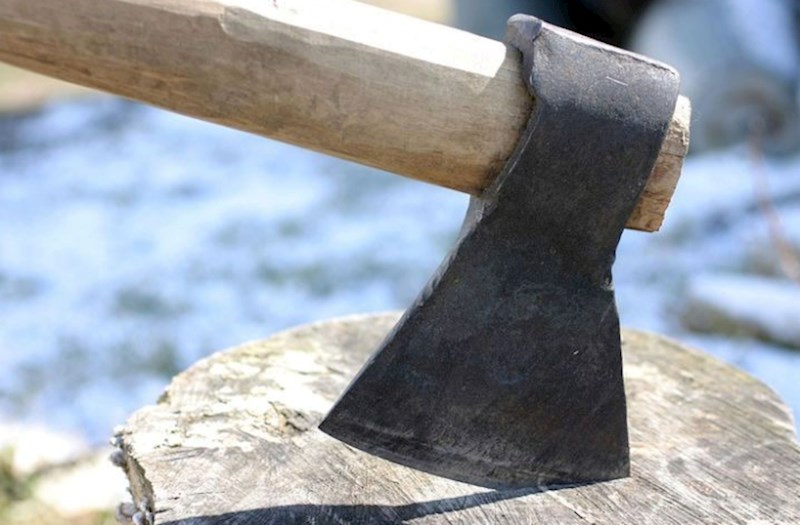 Atanın heyvanları qorxutmaq üçün atdığı balta oğlunun ölümünə səbəb olub 