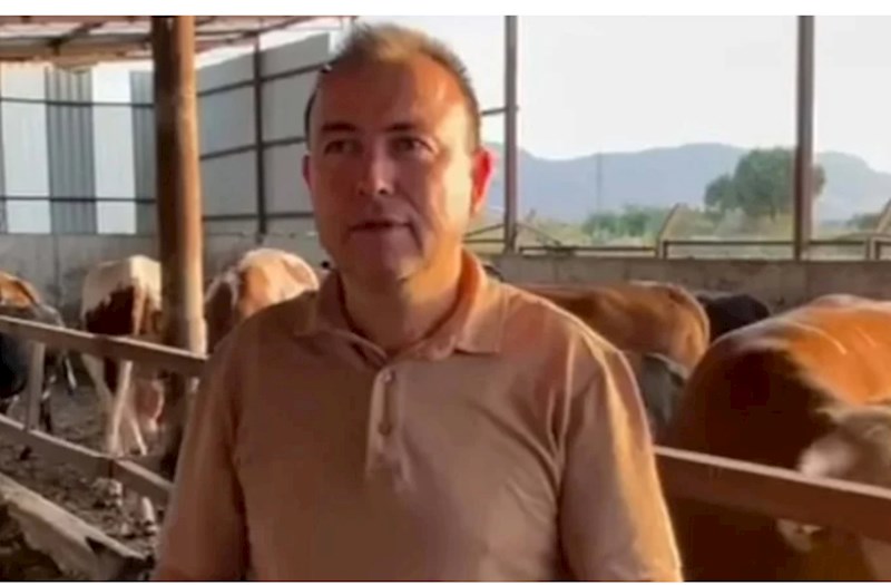 Satdığı buzovun şəklini çəkmək istəyi həyatı bahasına başa gəldi