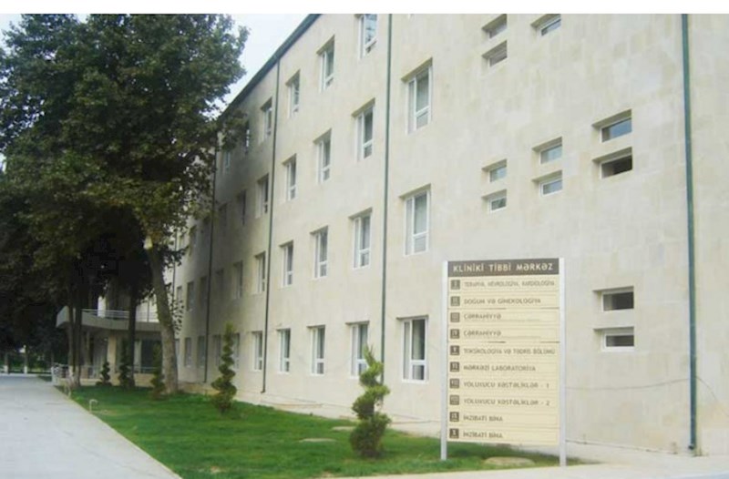 Arı sancan qadın bir ay komada qalıb 
