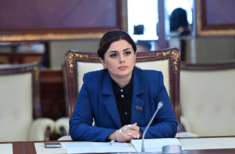 Bakı–Ankara tandemi həlledici gücə çevrilir — Deputat