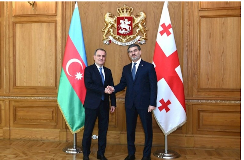 Ceyhun Bayramov Gürcüstan Prezidenti ilə görüşüb 