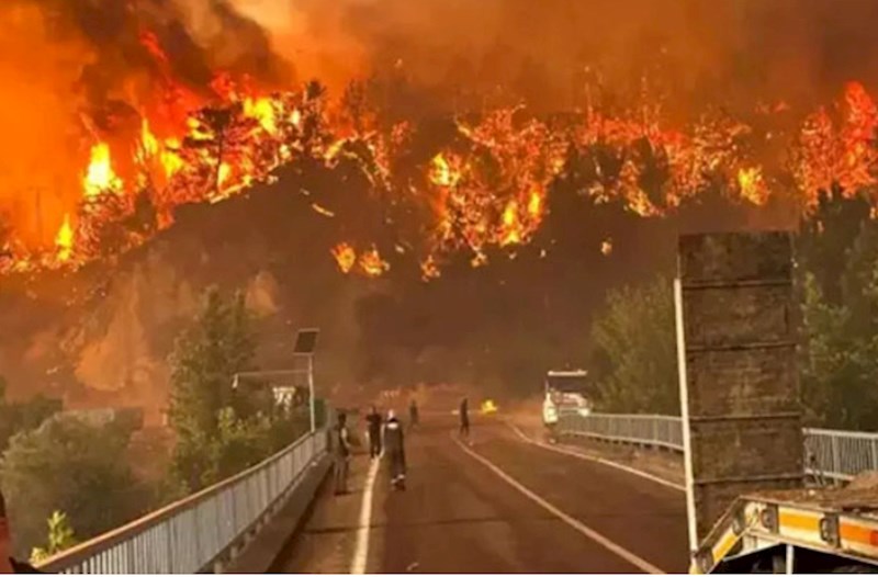 10 meşə işçisinin həlak olduğu yanğın nəzarətə götürüldü
