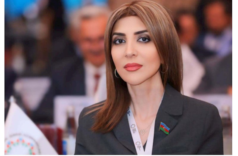 Fransa Cənubi Qafqazdakı yeni reallıqları qəbul etməkdə çətinlik çəkir — ŞƏRH