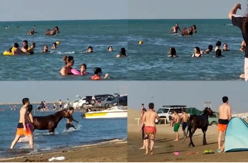 Pirşağıda atla dənizə girən şəxs həbs olundu