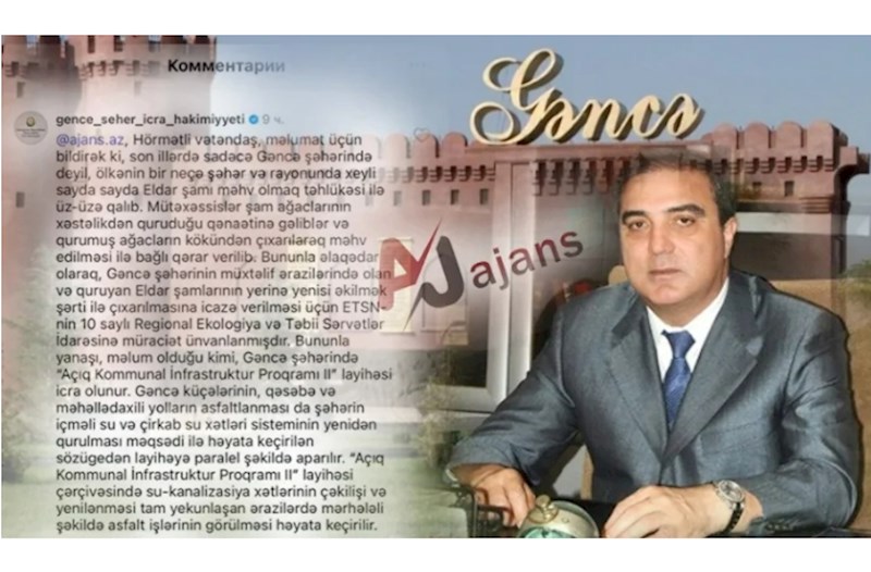 Gəncə şəhər İcra Hakimiyyətinin yalanı ifşa olundu — VİDEO/FOTOLAR 