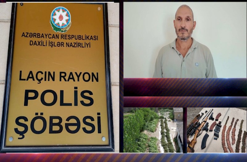 Laçın Rayon Polis Söbəsindən əməliyyat: 300-ə yaxın çətənə bitkisi və silah-sursat aşkarlandı