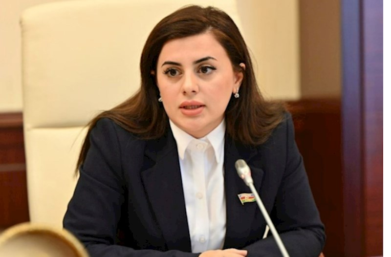 Azərbaycana gətirilən dərmanlar keyfiyyətsizdir? — Deputatdan AÇIQLAMA 