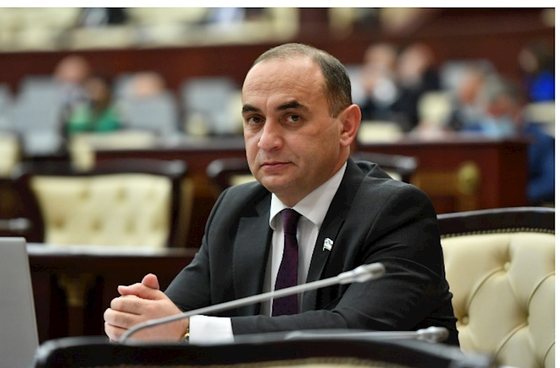 Deputat: “Əvvəl uşaq ağlamasın deyə əmzik verirdilər, indi də telefon” 