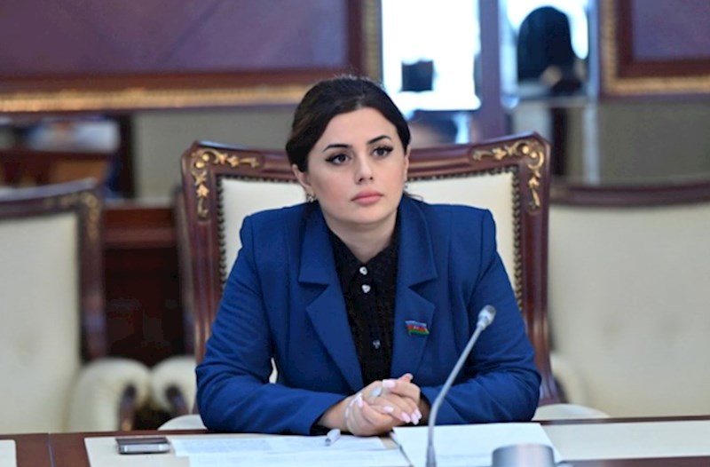 Deputat: Makronun və Qərbin “mülki” missiyası iflasa uğradı"