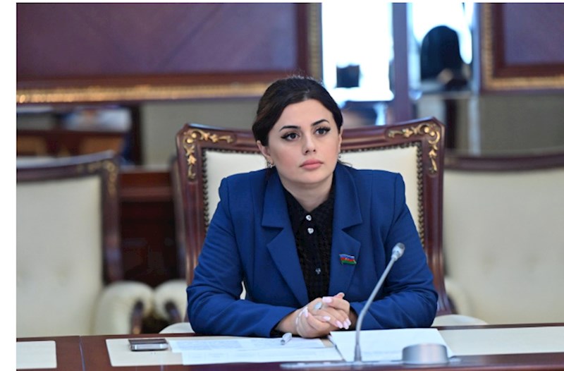 Görürən odur ki, Rusiya azərbaycanlı məşhurları “qara siyahı”ya salıb  — Deputat
