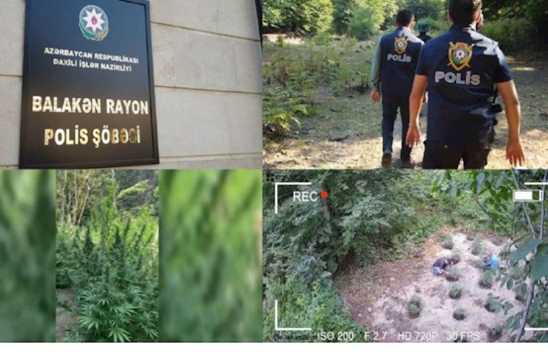 Üç bürcə tezliklə arzularını yerinə yetirmək şansı veriləcək 
