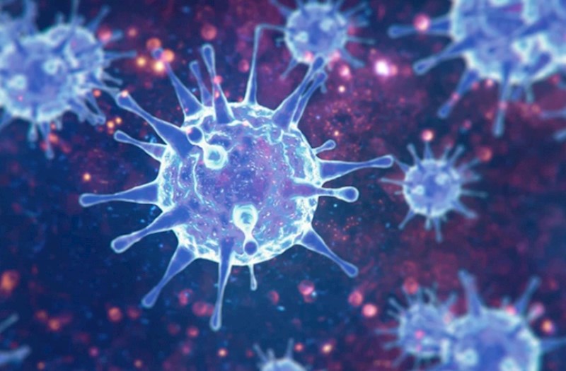 Milyonlarla insana təsir edən, amma heç kimin danışmadığı virus: HTLV-1 nədir? 