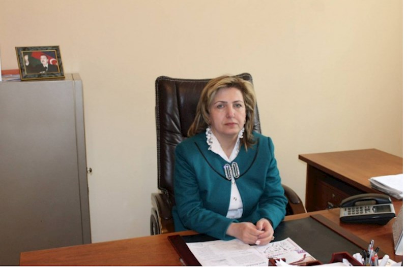Təranə Məmmədova ilə bağlı araşdırma başlanıldı